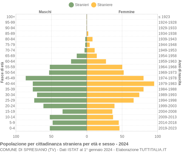 Grafico cittadini stranieri - Spresiano 2024