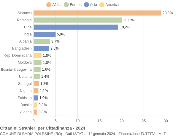 Grafico cittadinanza stranieri - Badia Polesine 2024