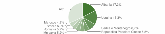 Grafico cittadinanza stranieri - Belluno 2007