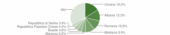 Grafico cittadinanza stranieri - Belluno 2010