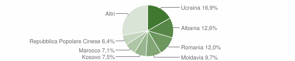 Grafico cittadinanza stranieri - Belluno 2015