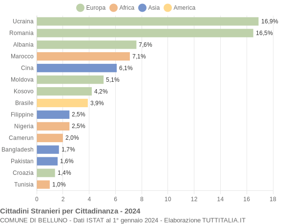 Grafico cittadinanza stranieri - Belluno 2024