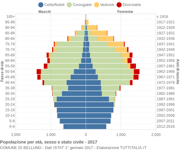 Grafico Popolazione per età, sesso e stato civile Comune di Belluno