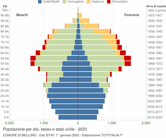 Grafico Popolazione per età, sesso e stato civile Comune di Belluno
