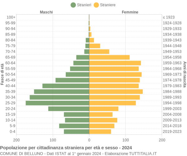 Grafico cittadini stranieri - Belluno 2024