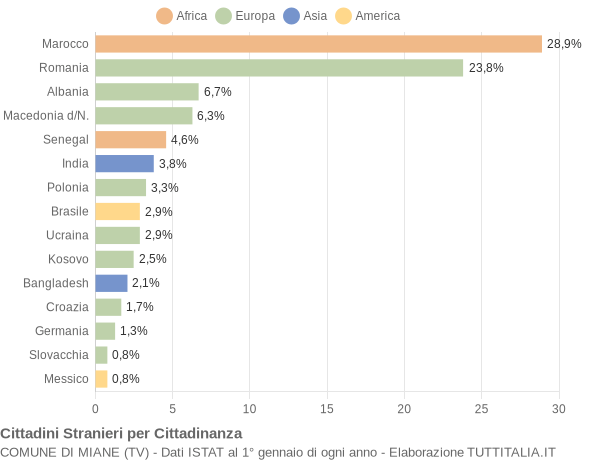 Grafico cittadinanza stranieri - Miane 2021