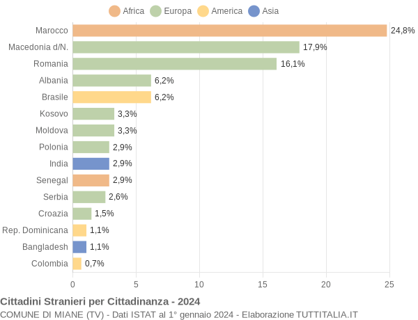 Grafico cittadinanza stranieri - Miane 2024