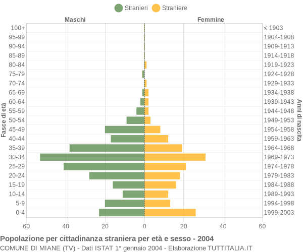 Grafico cittadini stranieri - Miane 2004