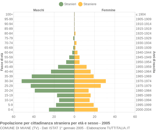 Grafico cittadini stranieri - Miane 2005