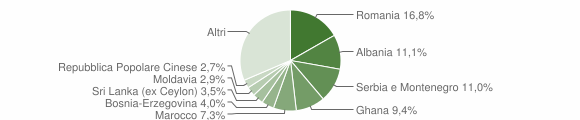 Grafico cittadinanza stranieri - Bussolengo 2006