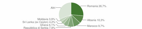 Grafico cittadinanza stranieri - Bussolengo 2010