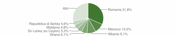 Grafico cittadinanza stranieri - Bussolengo 2013