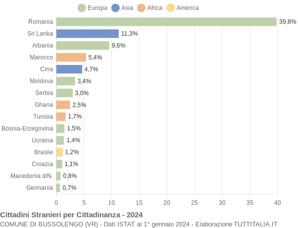 Grafico cittadinanza stranieri - Bussolengo 2024