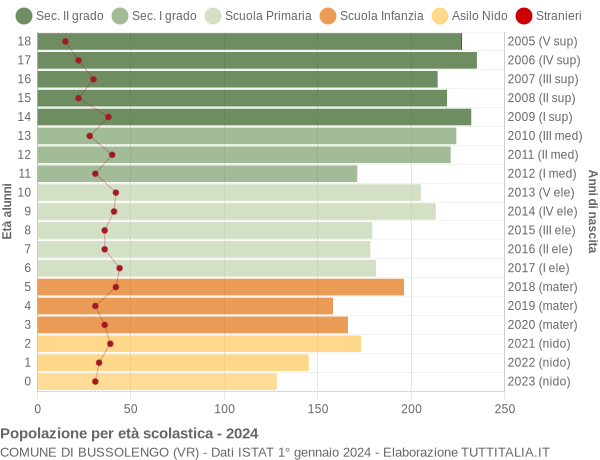 Grafico Popolazione in età scolastica - Bussolengo 2024