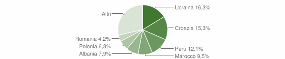 Grafico cittadinanza stranieri - Cortina d'Ampezzo 2006