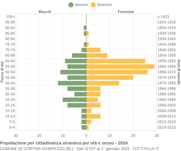 Grafico cittadini stranieri - Cortina d'Ampezzo 2024