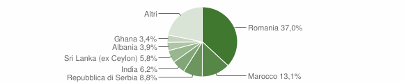 Grafico cittadinanza stranieri - Lavagno 2009