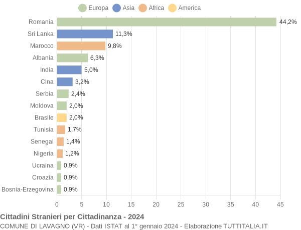 Grafico cittadinanza stranieri - Lavagno 2024