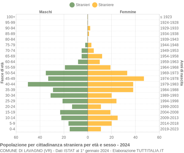 Grafico cittadini stranieri - Lavagno 2024