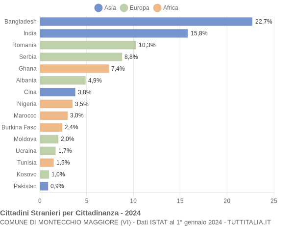 Grafico cittadinanza stranieri - Montecchio Maggiore 2024