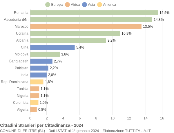 Grafico cittadinanza stranieri - Feltre 2024