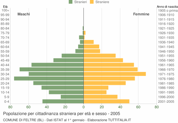 Grafico cittadini stranieri - Feltre 2005