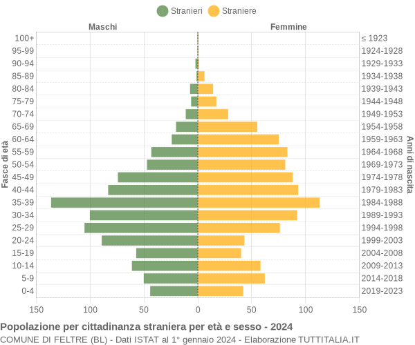 Grafico cittadini stranieri - Feltre 2024