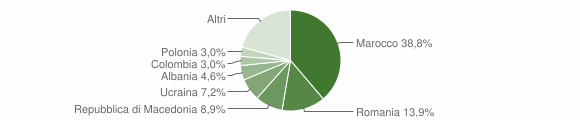 Grafico cittadinanza stranieri - Fregona 2014