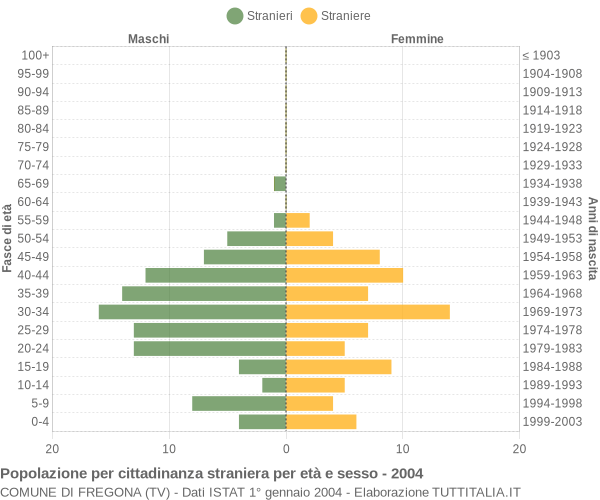 Grafico cittadini stranieri - Fregona 2004