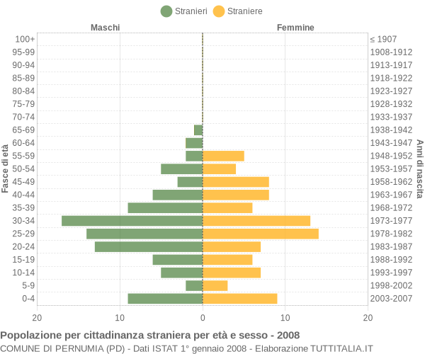 Grafico cittadini stranieri - Pernumia 2008