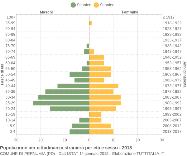 Grafico cittadini stranieri - Pernumia 2018