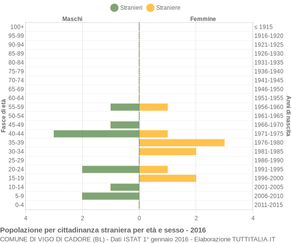 Grafico cittadini stranieri - Vigo di Cadore 2016