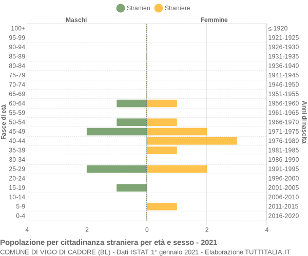 Grafico cittadini stranieri - Vigo di Cadore 2021