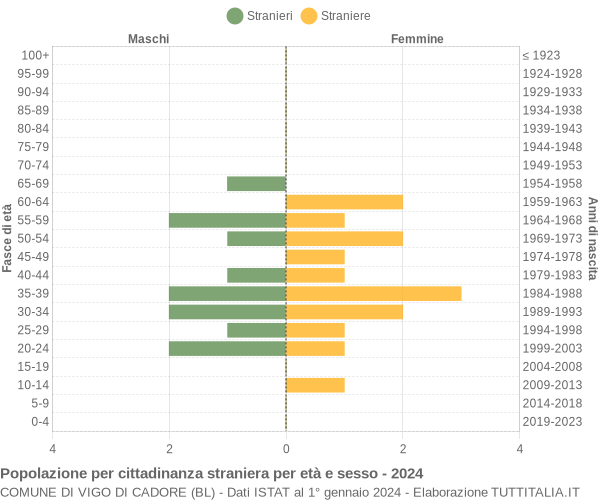 Grafico cittadini stranieri - Vigo di Cadore 2024