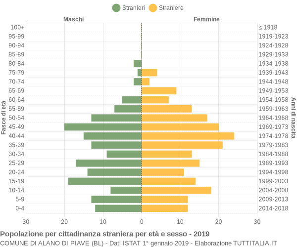 Grafico cittadini stranieri - Alano di Piave 2019