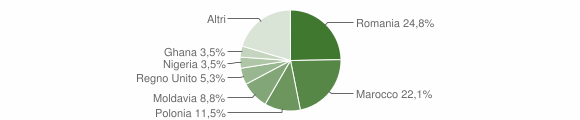Grafico cittadinanza stranieri - Mezzane di Sotto 2010