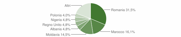 Grafico cittadinanza stranieri - Mezzane di Sotto 2012
