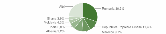 Grafico cittadinanza stranieri - Vigasio 2011