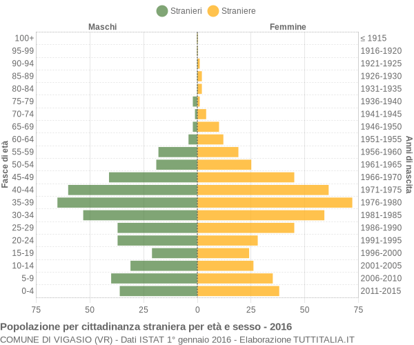 Grafico cittadini stranieri - Vigasio 2016