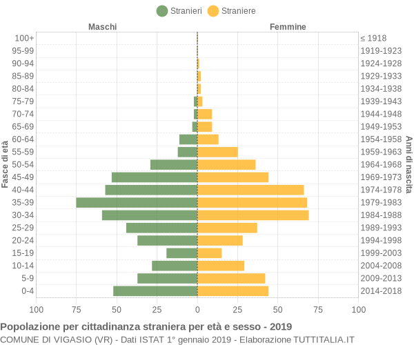 Grafico cittadini stranieri - Vigasio 2019