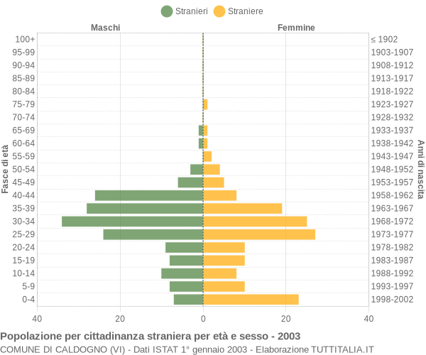 Grafico cittadini stranieri - Caldogno 2003