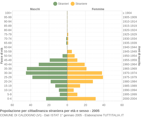 Grafico cittadini stranieri - Caldogno 2005