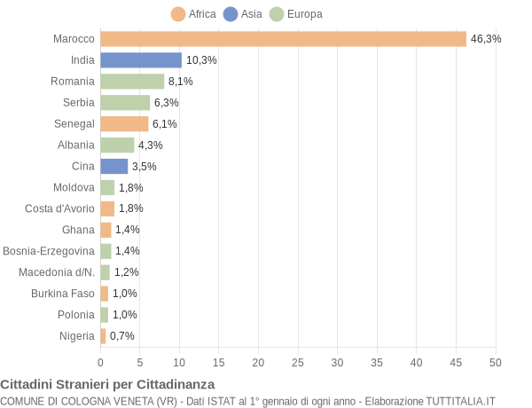 Grafico cittadinanza stranieri - Cologna Veneta 2011