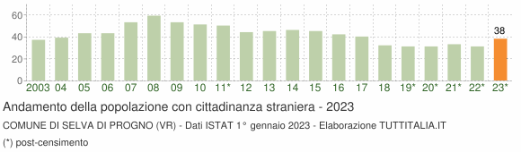 Grafico andamento popolazione stranieri Comune di Selva di Progno (VR)