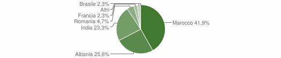 Grafico cittadinanza stranieri - Selva di Progno 2006