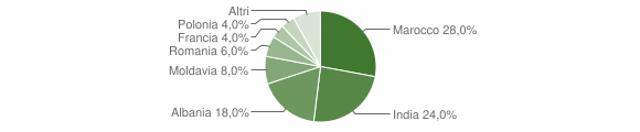 Grafico cittadinanza stranieri - Selva di Progno 2011
