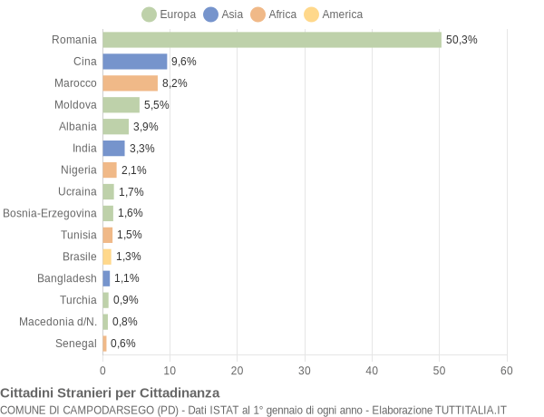 Grafico cittadinanza stranieri - Campodarsego 2019