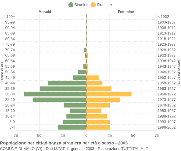 Grafico cittadini stranieri - Malo 2003