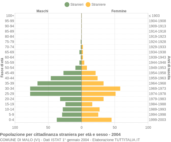 Grafico cittadini stranieri - Malo 2004