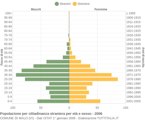 Grafico cittadini stranieri - Malo 2006